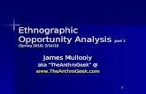 Ethnographic opportunity analysis sp16 part1(mullooly)