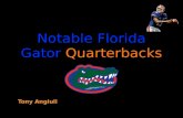 Florida Gator Quarterbacks Through the Years