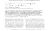 Early dihydrofolate reductase gene amplification events in CHO ...
