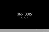 S66 goos-w6