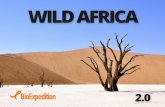 Wild Africa II