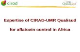 Expertise of CIRAD-UMR Qualisud for aflatoxin control in Africa