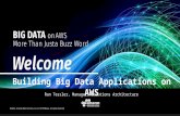 Building big data applications on AWS by Ran Tessler