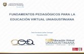 Fundamentos pedagógicos para la educación virtual uniagustiniana