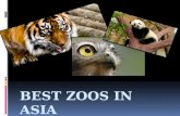 Best Zoos in Asia