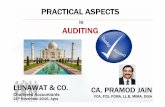 Practical aspects in Auditing