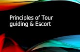 Principles of tour guiding escort by Abby zamora