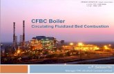 CFBC Boiler vs Pulverized Fired Boiler