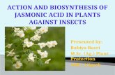Action and biosynthesis of jasmonic acid