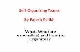 Self organizing teams
