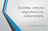 Sistema renina angiotensina-aldosteronapresentacion