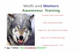 Wolf and worker