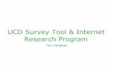 Survey Tool and Internet Research Program