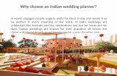 Indian Wedding Planner- Theme Wedding Planner