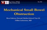 Mechanical Small Bowel Obstruction