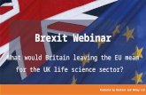 Brexit webinar -- What would britain leaving the EU would mean for the uk life science sector?