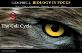 Biology in Focus - Chapter 9