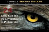 Biology in Focus - Chapter 24