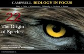 Biology in Focus - Chapter 22