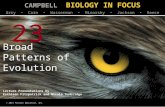Biology in Focus - Chapter 23