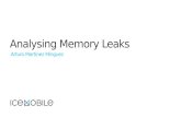 Analysing Memory Leaks