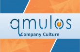 Qmulos culture presentation