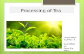 Tea processing by  abdul nasir