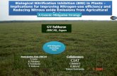 Biological nitrification inhibition (BNI) in plants: Implications for nitrogen-use efficiency and nitrous oxide emissions from agricultural systems