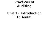 Unit 1   Introduction to Audit