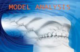 Ortho study model analysis
