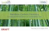 Bamboo Carbon Forestry Landscape Restoration & Sustainable Use