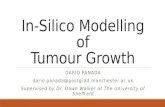 In-Silico Modelling of Tumour Growth