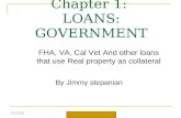 Important facts about fha loans by jim stepanian