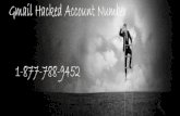 Gmail hacked account number 1 877-788-9452(usa number)