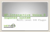 Wp interactive voice response system Plugin