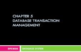 Chapter 5 Database Transaction Management