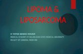 Lipoma and liposarcoma
