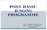 Post basic bsc nursing