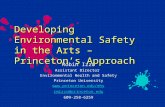Developing Environmental Safety in the Arts