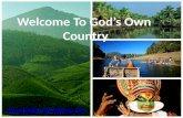 Amazing kerala tour packages from hyderabad