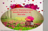 Exotic Honeymoon Destinations in Kerala