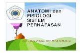 (3) Anatomi & fisiologi sistem pernafasan