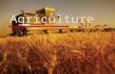 Agriculture Studies - Intro & Shifting Cultivation