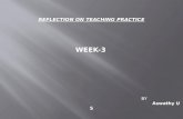 Teaching practice 3