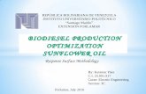 Biodisel Production optimization sunflower oil