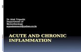 Acute chronic inflammation