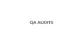 QA Audit by Signorina Y. Bueno (WMSU-ZC)