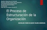 El proceso de estructuración de la organización mdj