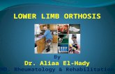 Introd &ll orthosis  dr.aliaa