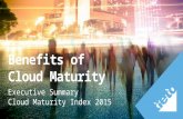 Tieto cloud maturity research - Executive summary